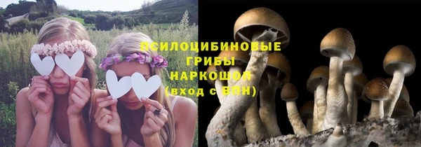 мет Алзамай