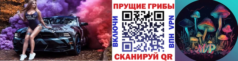 Псилоцибиновые грибы GOLDEN TEACHER  Зарайск 